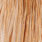 barred medium ginger