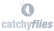 Catchy Flies Catchy Flies