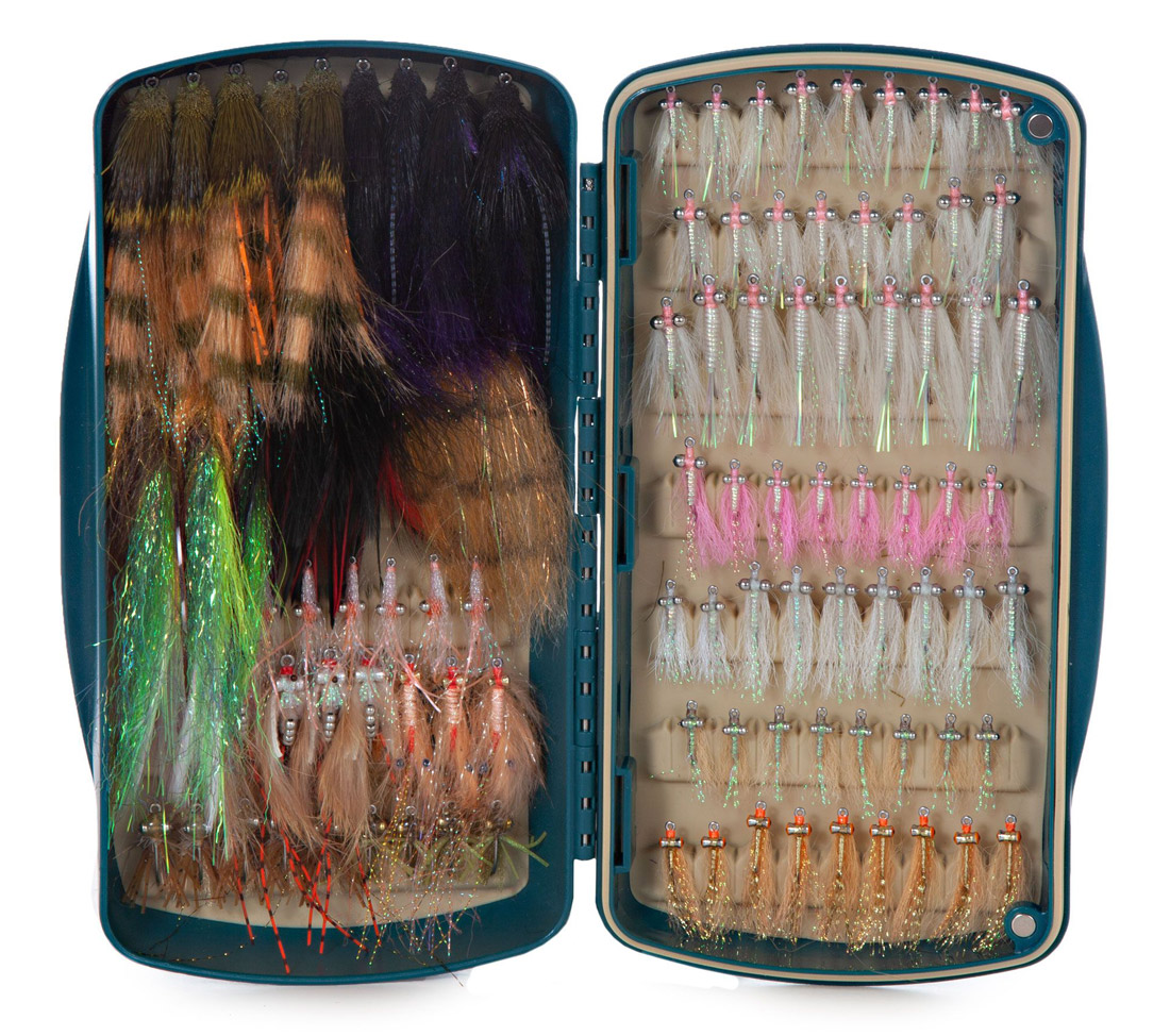 Tacky_pescador_large_salt_noleaf