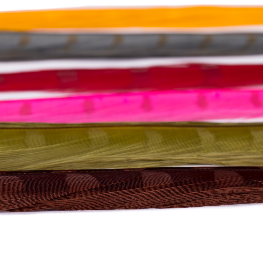 veniard-cock-pheasant-colour-extracted-centre-tail-mixed-4