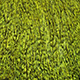 speckled fluo yellow chartreuse