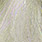 glass minnow