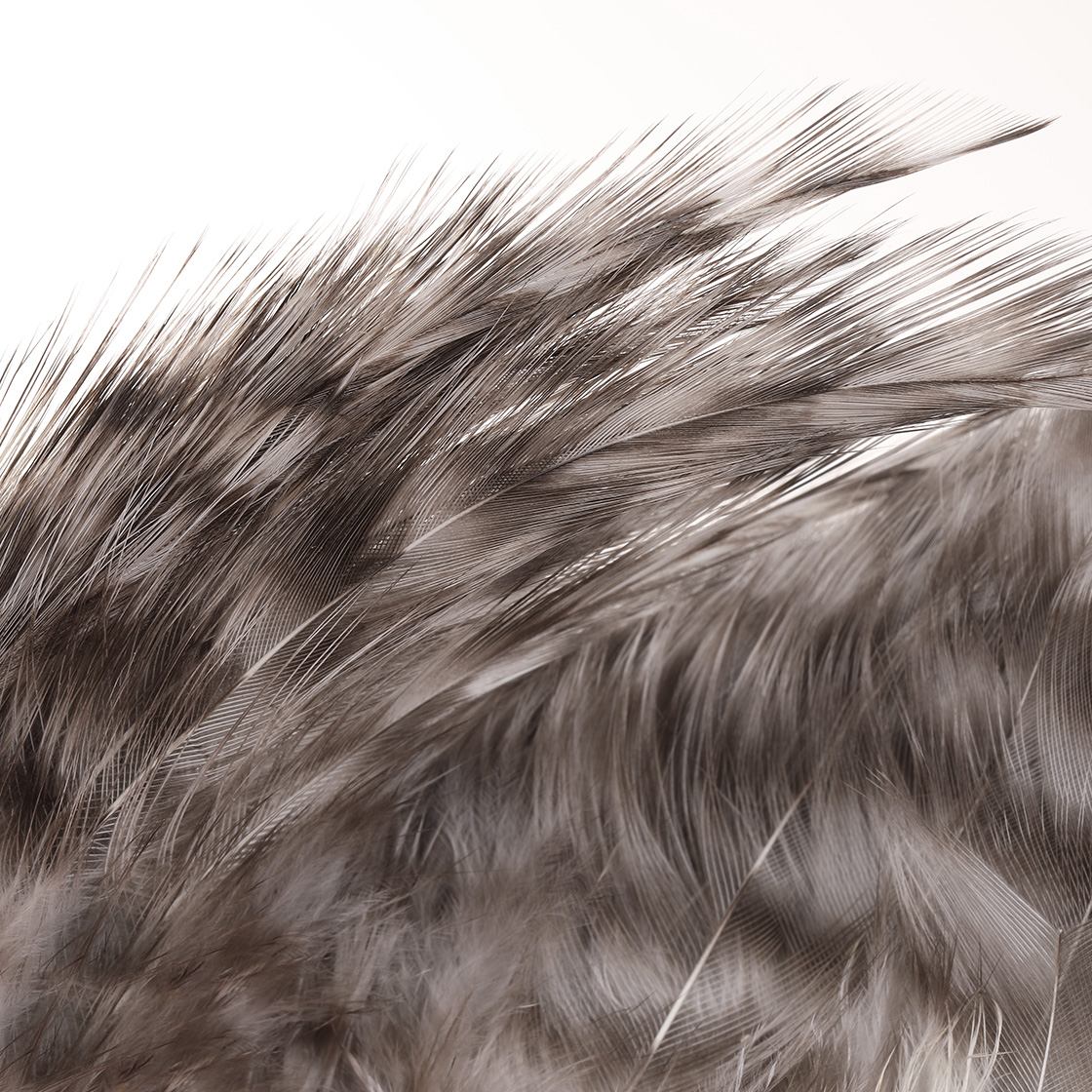 P-29304_Future-Fly-Coq-de-Leon-Rooster-Cape-grizzly-nature_detail-2