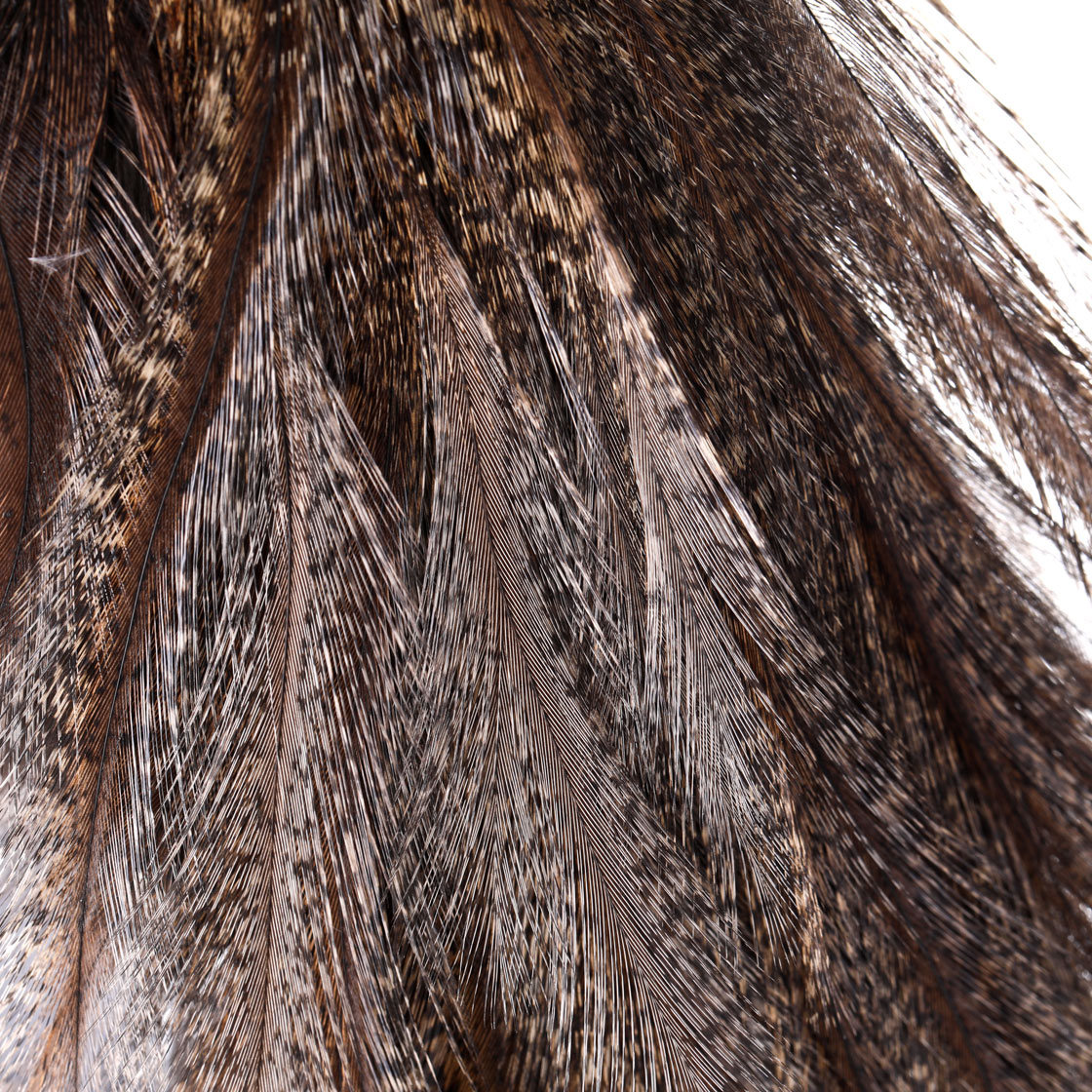 P-25388_Whiting-CDL-Euro-Nymph-Tailing-Pack_detail-4