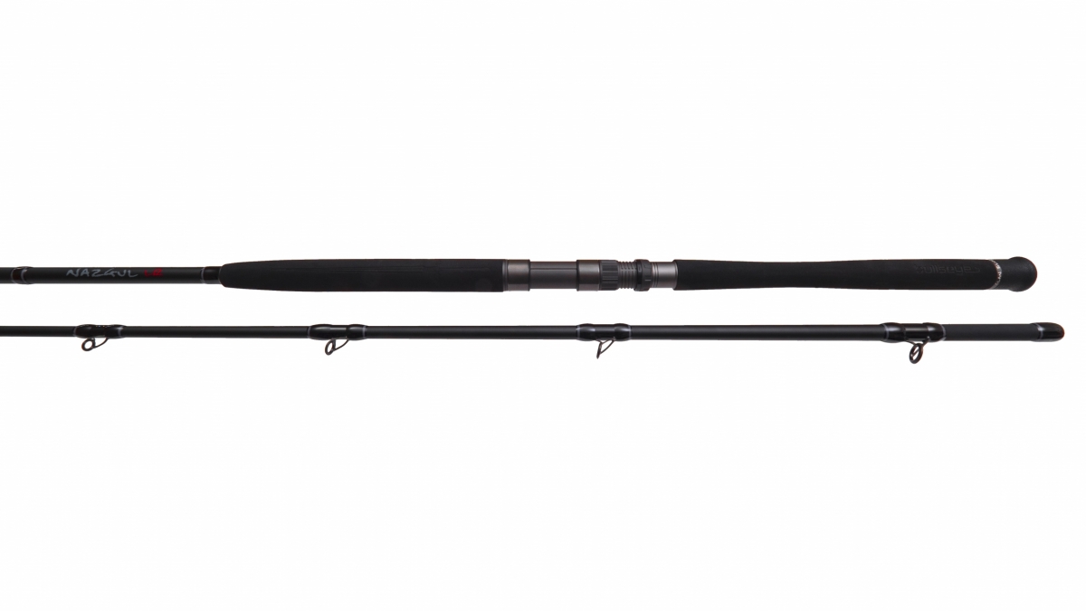 P-17506_Bullseye_Nazgul_300_40lbs_Wallerrute_Spinnrute_1 Bullseye Nazgul 300 40lbs Wels Catfish Spinning Rod