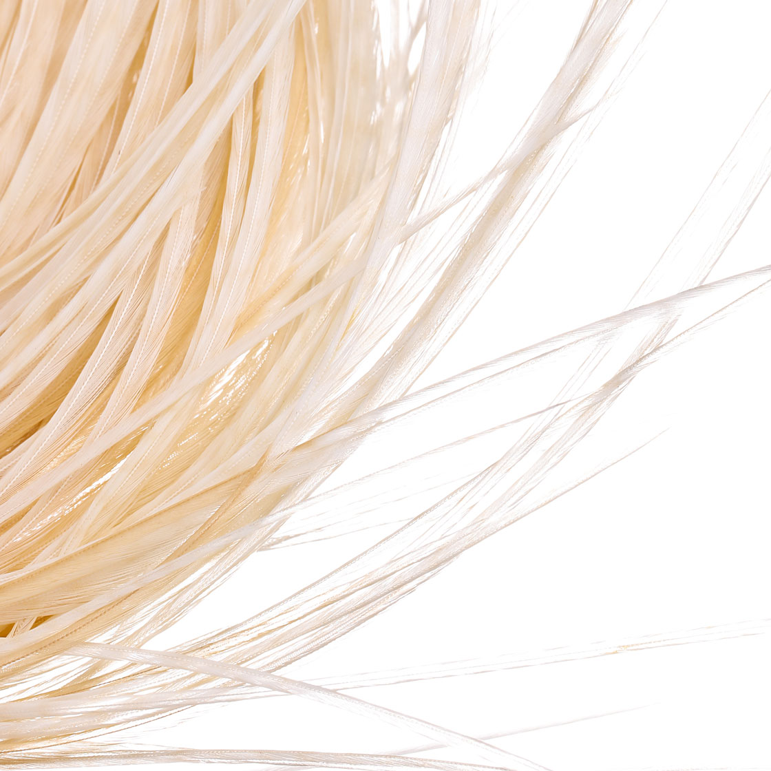 P-07075_Whiting-Dry-Fly-Hackle-Cape-Bronze-ganz-oder-halb_detail_