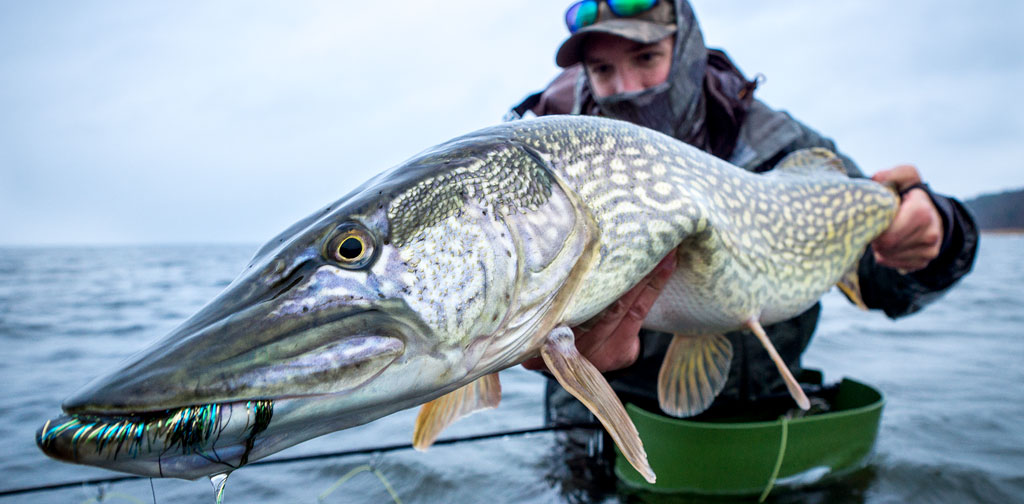 Fly Fishing for Pike - Tackle and Equipment