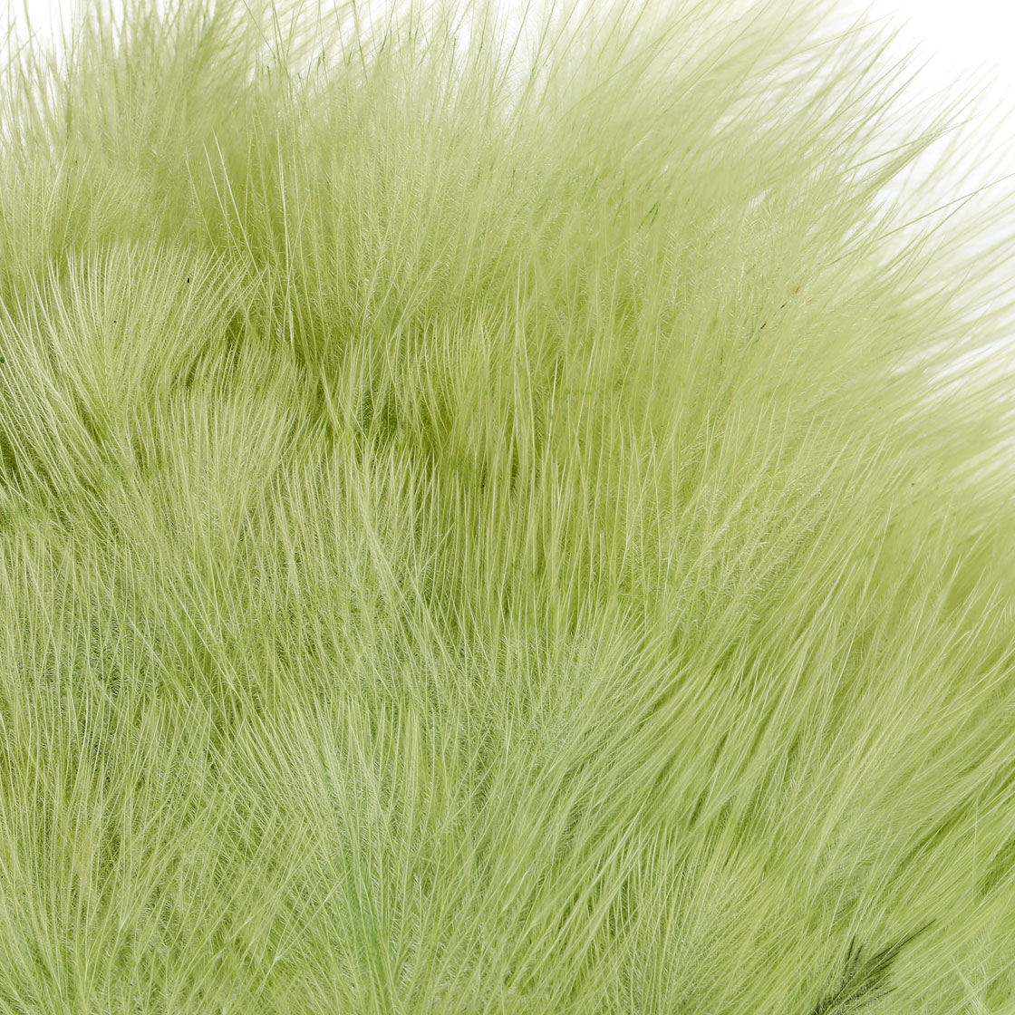 P-25432_Whiting-Rooster-SH-C_detail_2