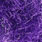 electric purple