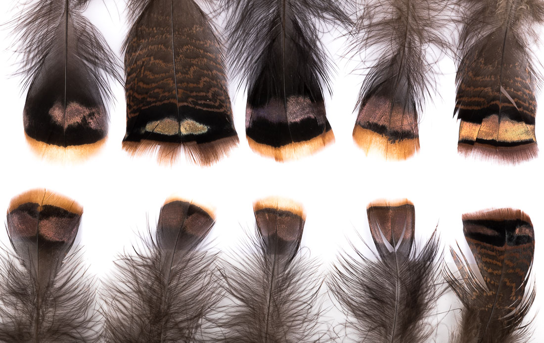 Hareline Turkey Shorts Mix 