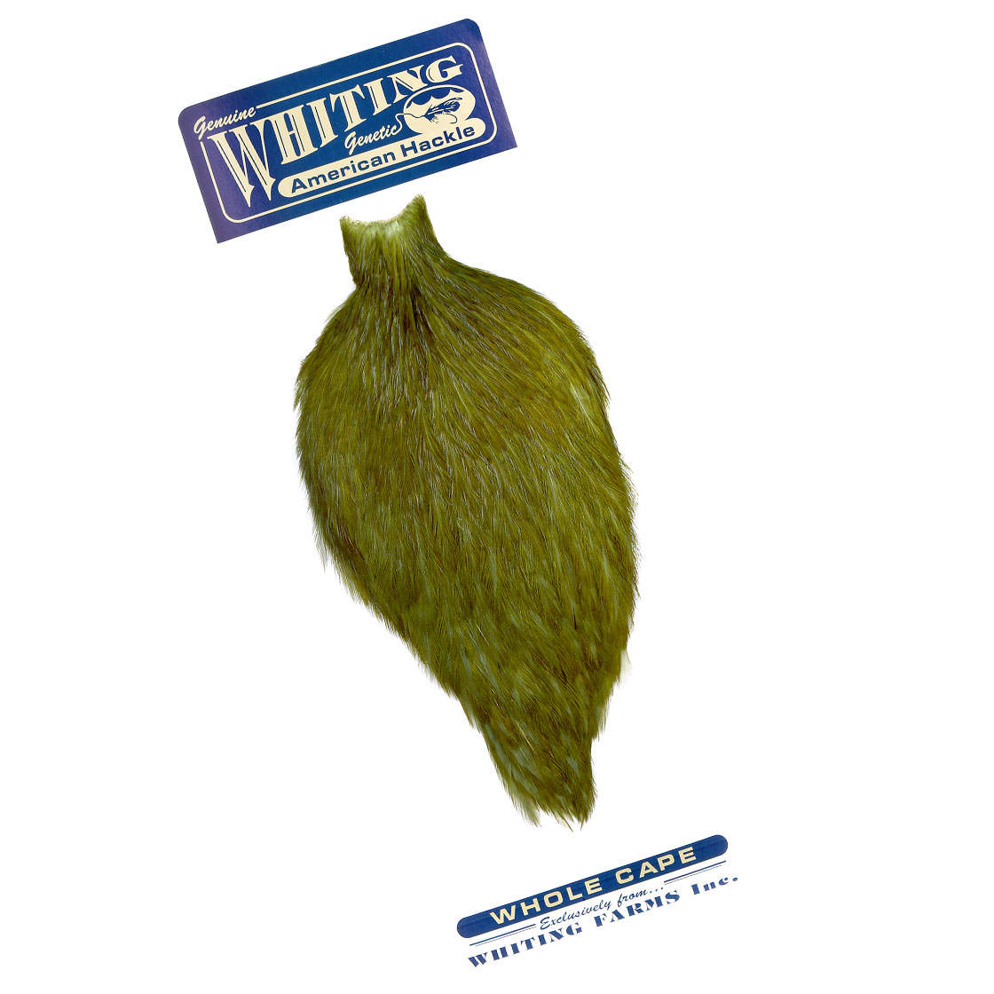 white dyed dark olive