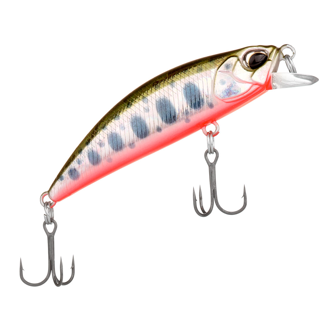 yamame red belly