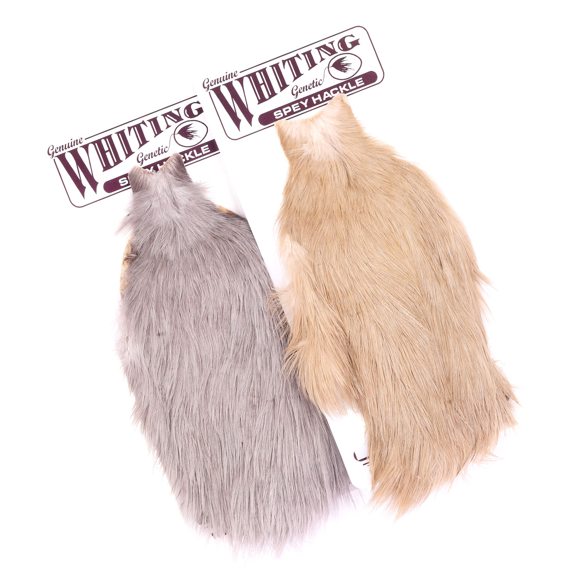 P-29047_Whiting-Spey-Hackle-Hen-Cape