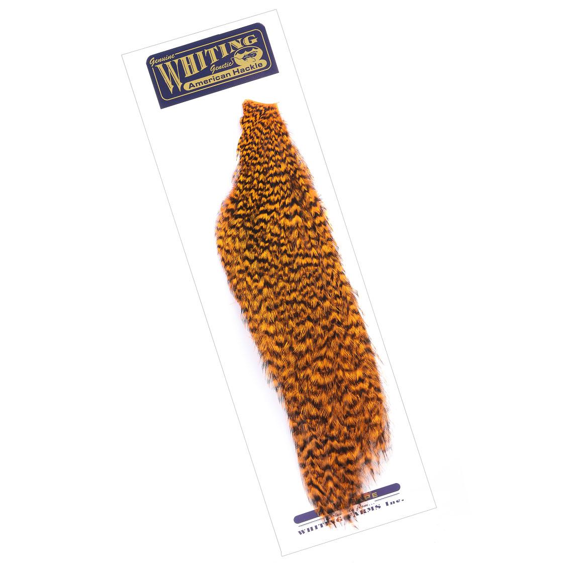 grizzly shrimp orange