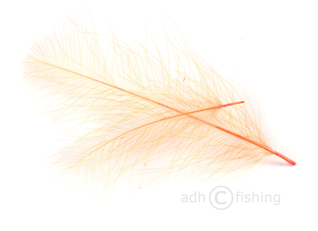 10 orange