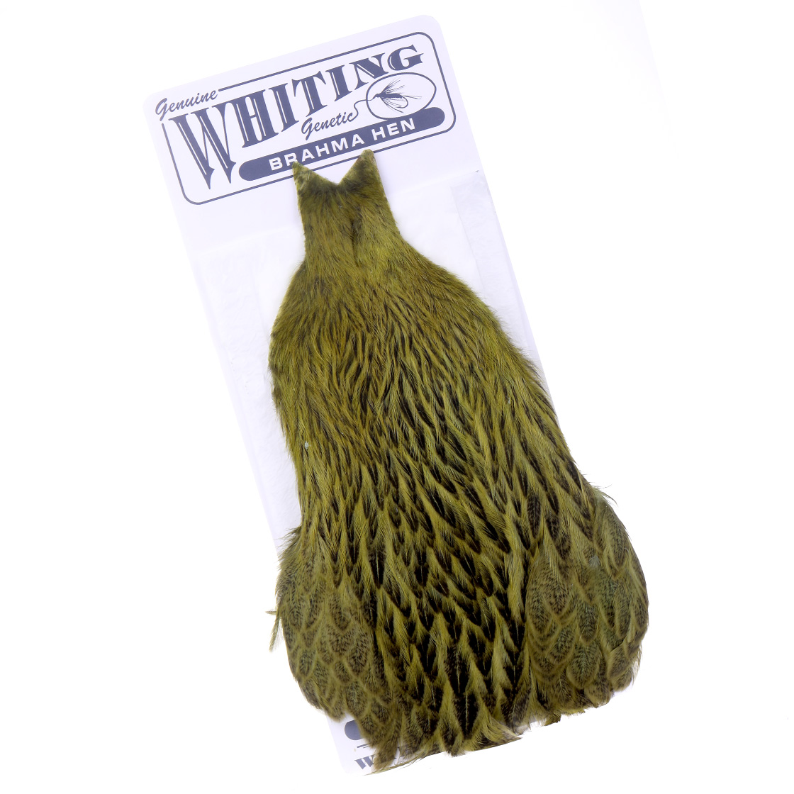 P-28064-1_Whiting-Brahma-Hen-Cape-Badger_badger-olive