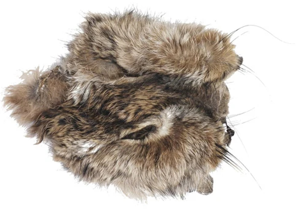 Soldarini Hare's Mask rabbit mask