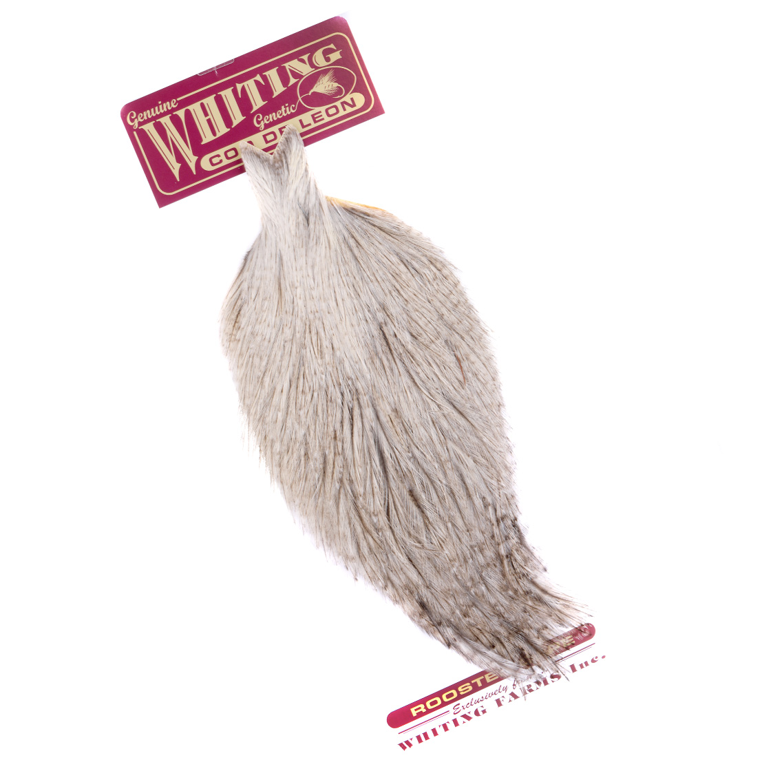 Whiting Coq de Leon Cape Whiting Coq de Leon Cape