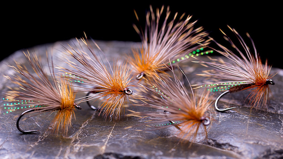 Whiting_Blog_Vorschau - Whiting Farms - Qualität für Fliegenbinder Whiting Farms - Quality for Fly Tiers