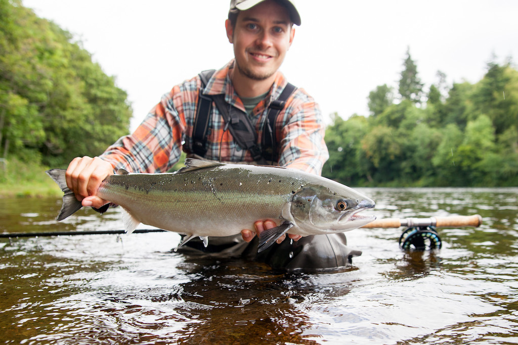 Lachs_adh_10 - Fliegenfischen auf Atlantischen Lachs – eine kompakte Starthilfe