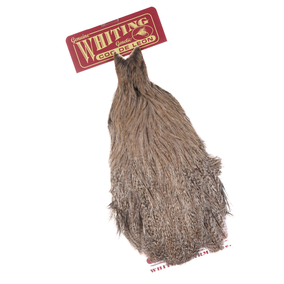 P-25393_Whiting-Coq-de-Leon-Hen-Cape_brown-speckled Brown Speckled