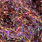 04 brown dark/red-violet