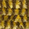 dark olive / yellow