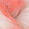 fleshy pink