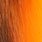 pastel orange
