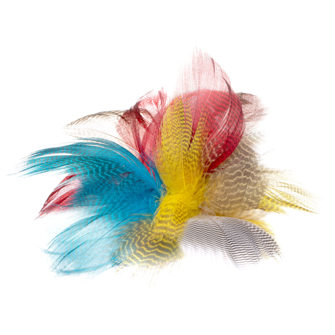 Wapsi Gadwall Barred Flank Feathers