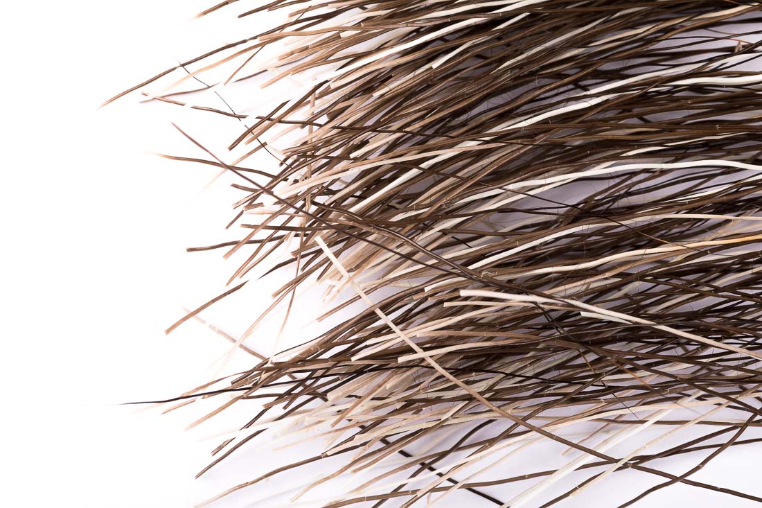 12632-wapsi-moose-mane-duhmom-2