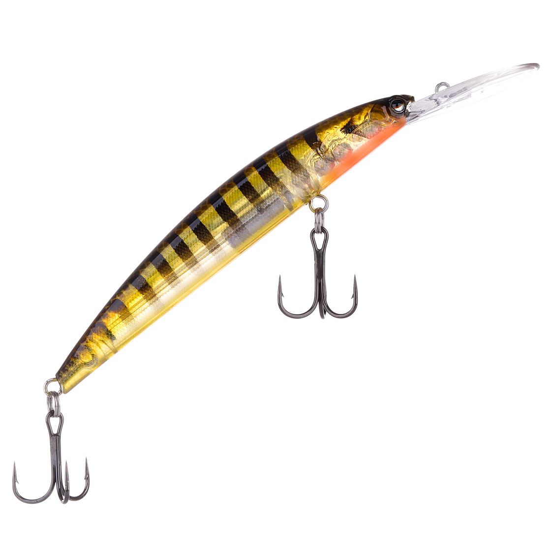 Ghost Perch #103