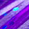 CL 298 purple/electric blue