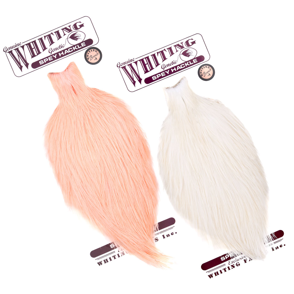Whiting Bronze Spey Hackle Cape