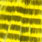 yellow black barred