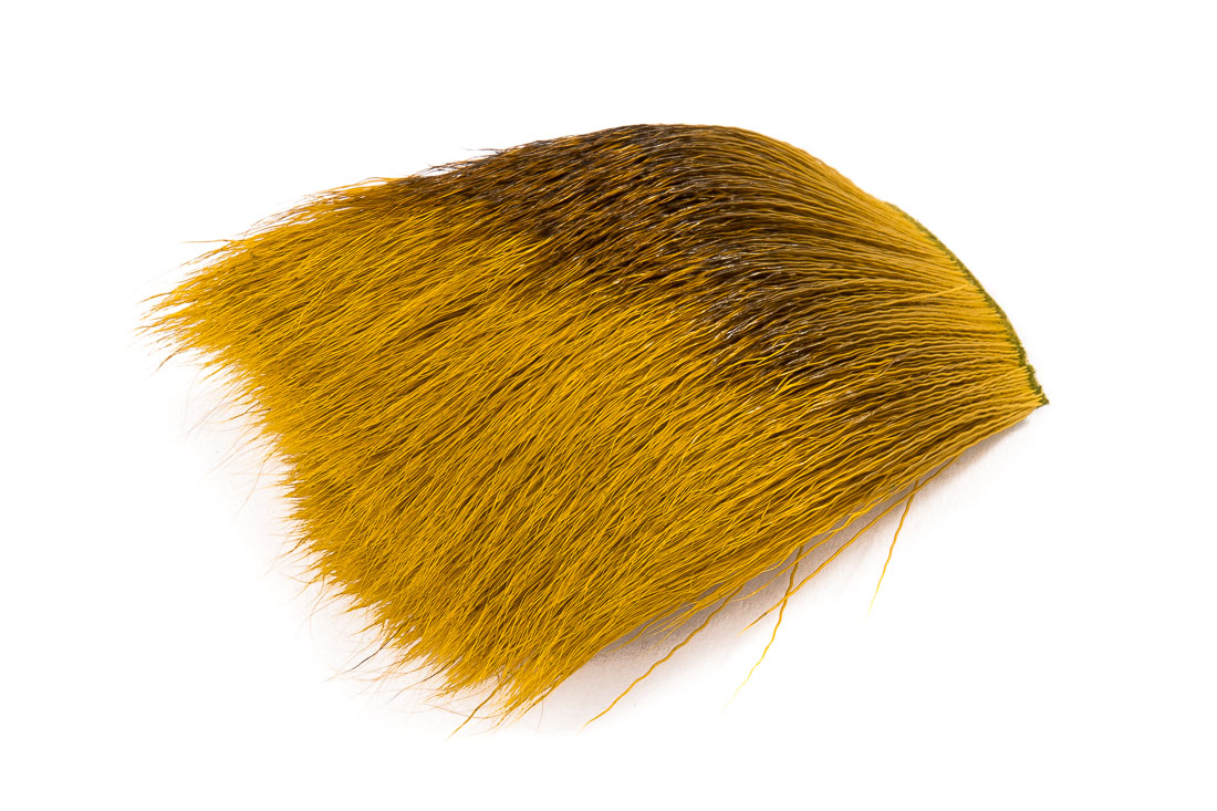 golden olive (004)