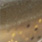 mudskipper