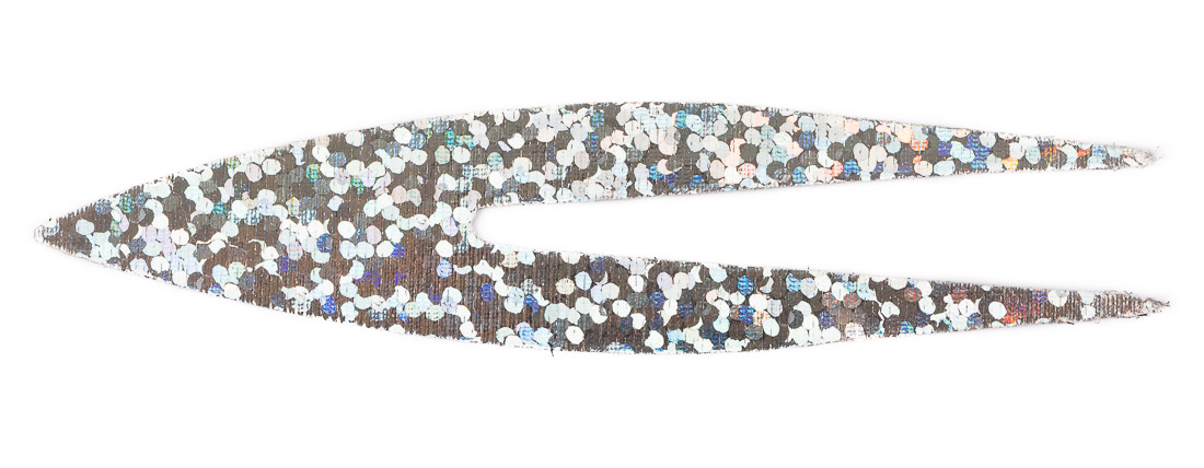 holo silver