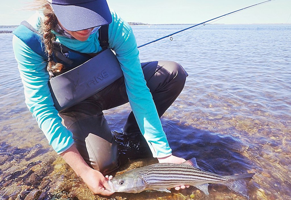 take-tackle-stripping-basket-9