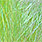 yellow pearl / chartreuse back