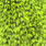 grizzly fl. Green chartreuse