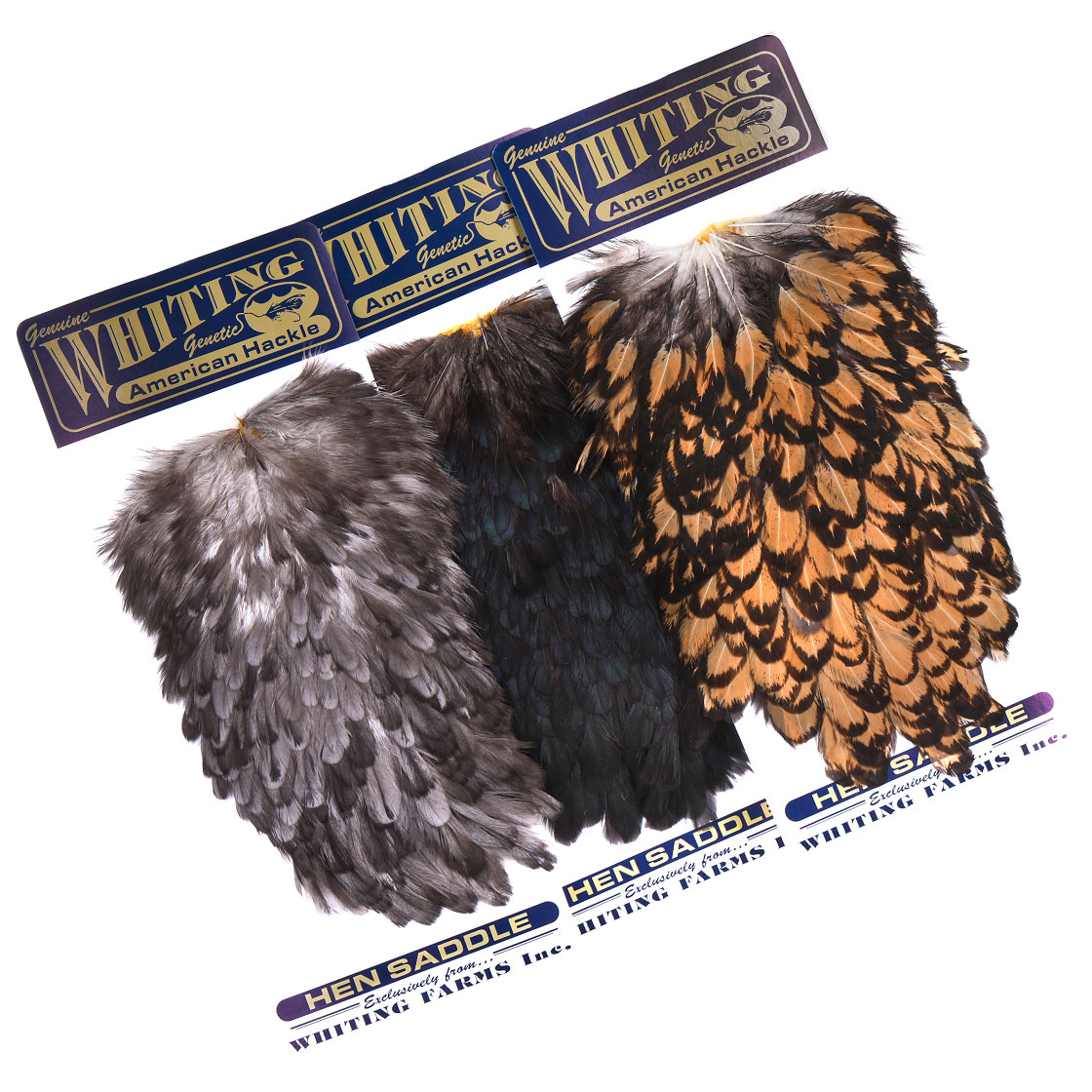 P-25378_Whiting-American-Hen-Saddle_titel Whiting American Hen Saddle