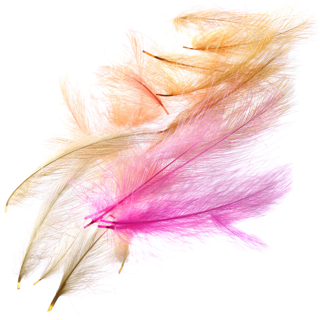 P-03366_Hends-CDC-selected_titel-neu Hends CDC Selected
