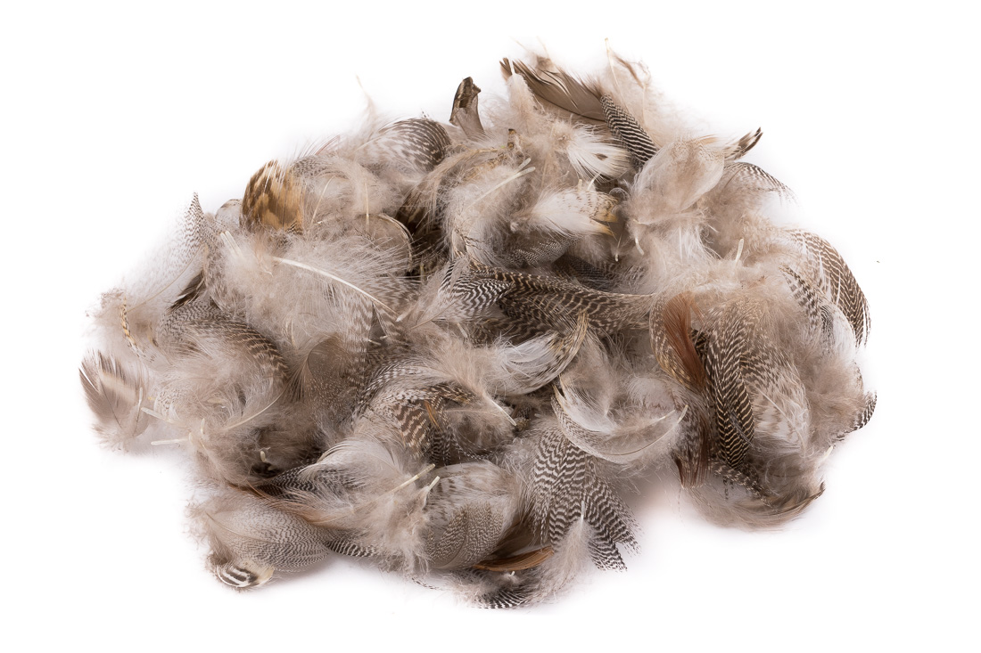 wapsi_prime_mixed_waterfowl_flank_natural