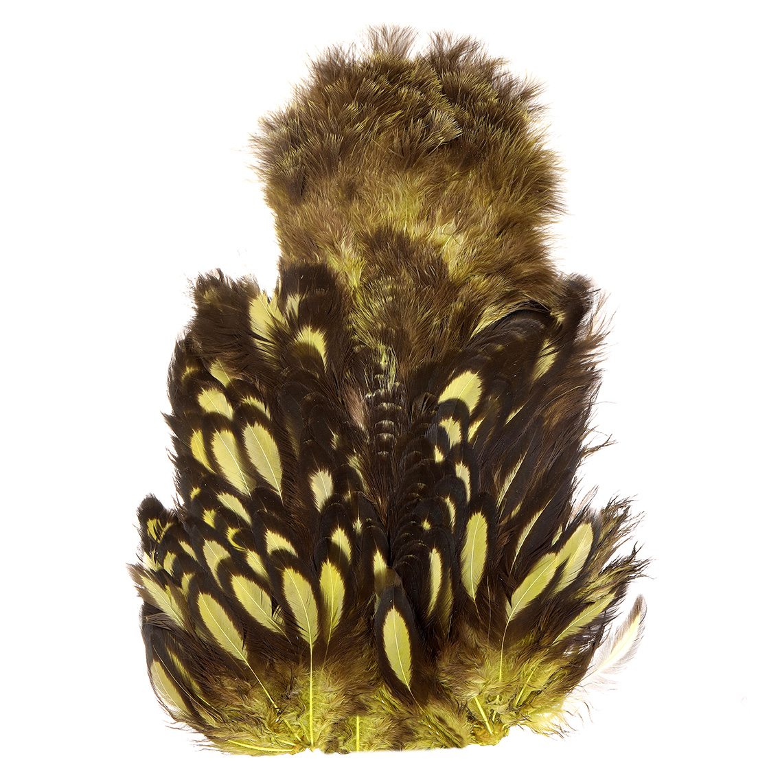 Whiting American Hen SH/C BLW Black Laced White