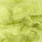 light olive