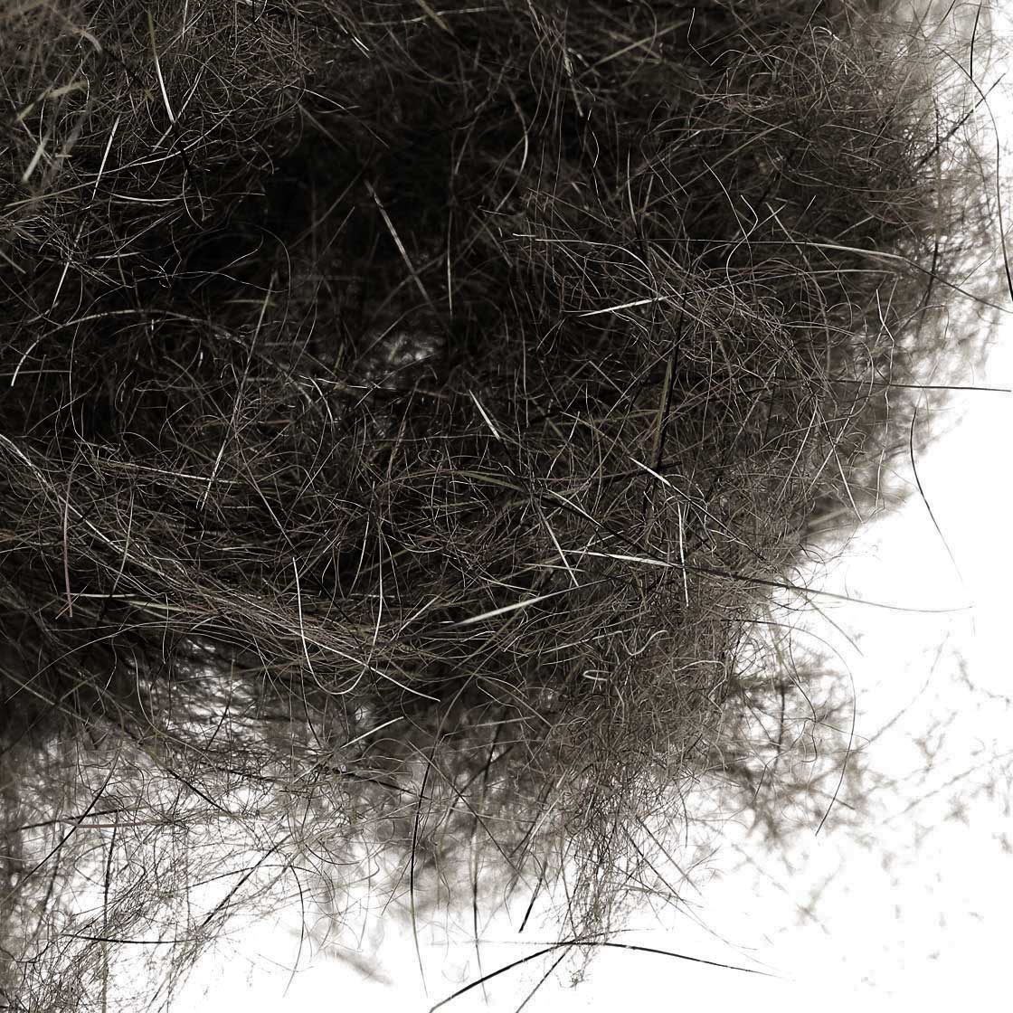 Soldarini Squirrel Dubbing