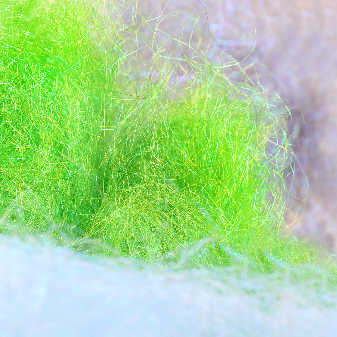 P-15589_Baitfish-Supreme-Dubbing_titel1MivEMW7MtQ25k