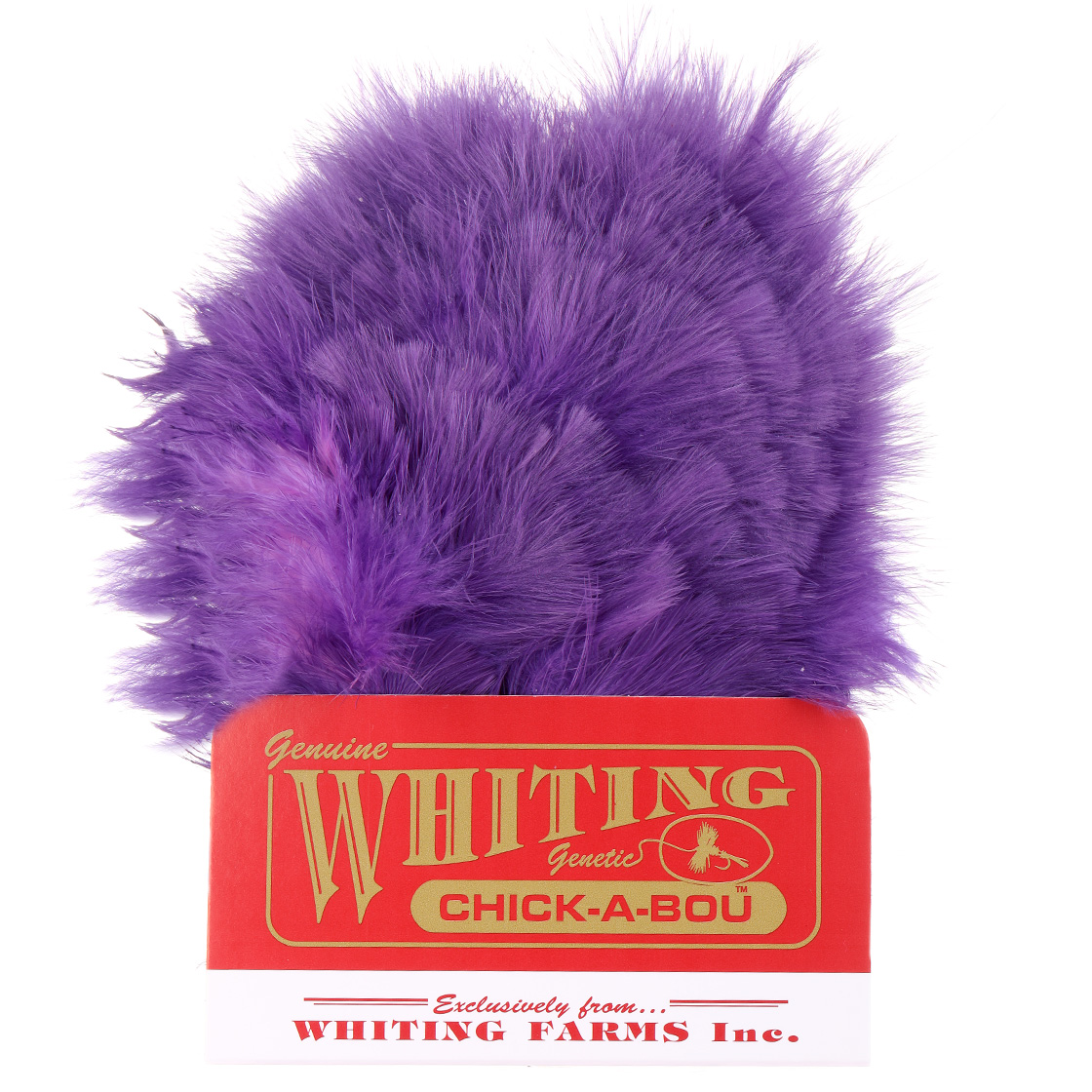 P-29038-4_Whiting-Chickabou-Patch_purple purple