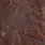 speckled salmon pink
